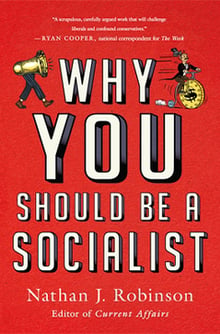 Book cover for Why You Should Be a Socialist by Nathan J Robinson