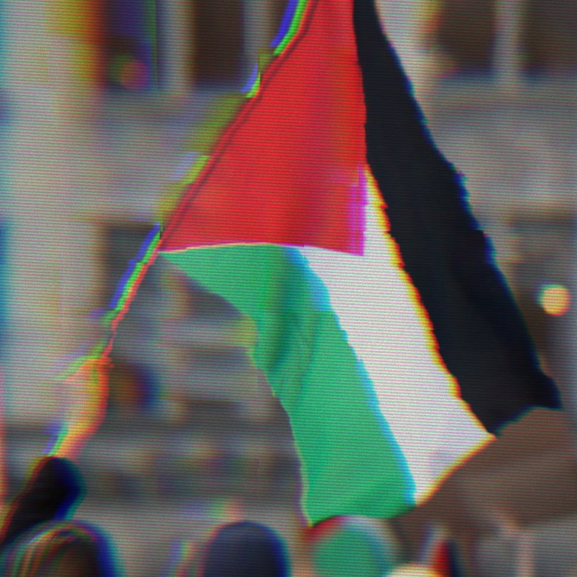 A person waving the Palestinian flag
