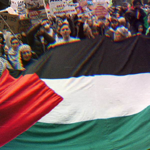 A pro-Palestine rally; people hold signs in support and are carrying a large Palestinian flag.