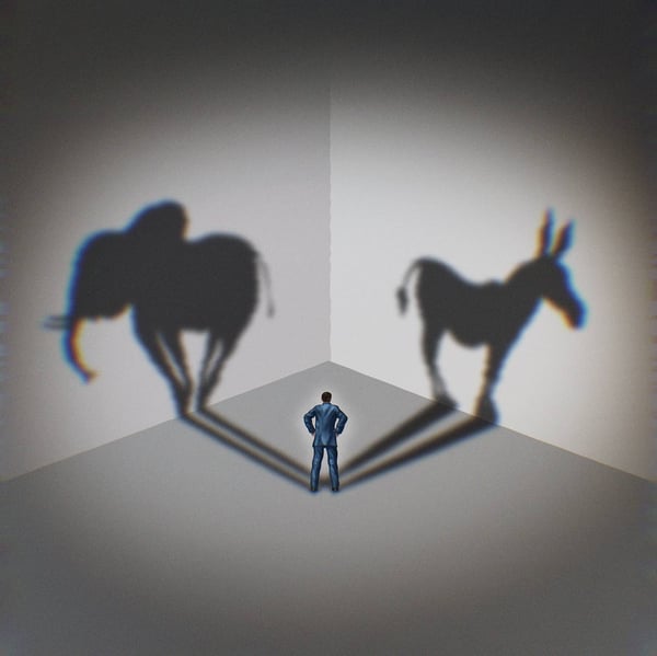 An illustration of a man with his back facing outward. He is staring at the wall, and two shadows come from him; an elephant and a donkey. Republican v Democrat concept.
