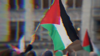 A person waving the Palestinian flag.