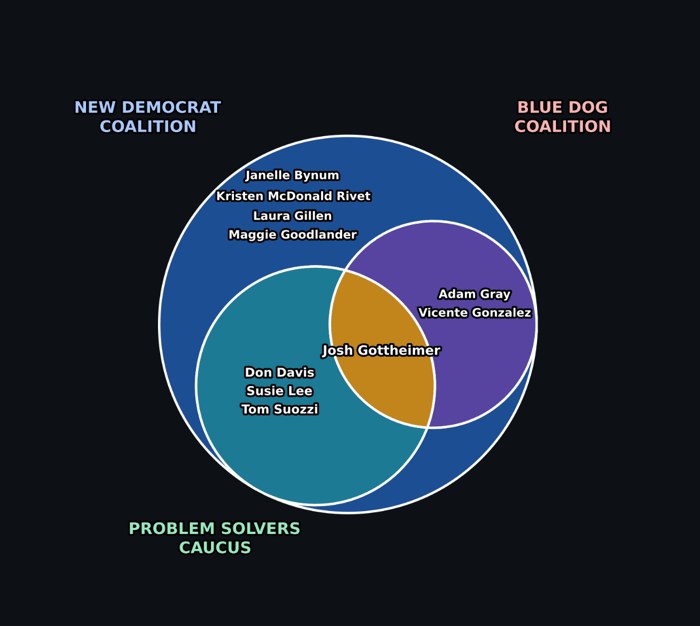 Venn diagram showing the overlapping membership of three centrist House Democratic caucuses: the New Democrat Coalition (large blue circle), the Blue Dog Coalition (purple circle), and the Problem Solvers Caucus (teal circle). Members appearing only in the New Democrat Coalition include Janelle Bynum, Kristen McDonald Rivet, Laura Gillen, and Maggie Goodlander. Adam Gray and Vicente Gonzalez appear in the overlap between the Blue Dog Coalition and New Democrat Coalition. Don Davis, Susie Lee, and Tom Suozzi appear in the overlap between the Problem Solvers Caucus and New Democrat Coalition. Josh Gottheimer appears at the center where all three caucuses intersect.
