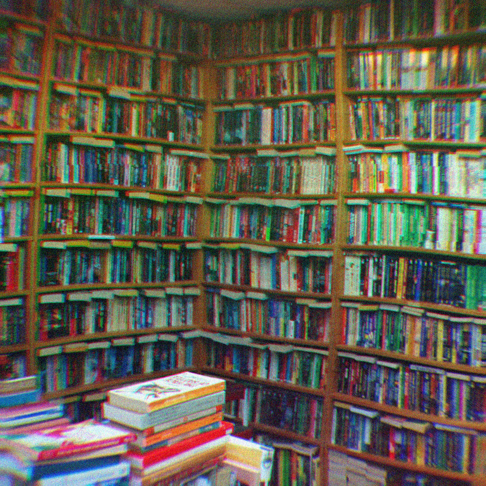 Image of a bookshelves lined with books in a bookstore